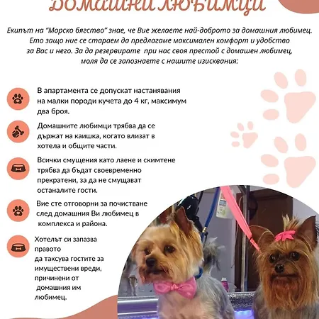 студио - морско бягство Lejlighed Primorsko